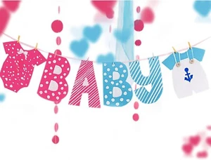 BABY Banner rosa & blau B A B Y Buchstaben Röcke für Geschlecht enthüllen Baby Dusche - Bild 1 von 5