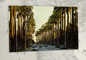 Beverley Hills California Single Tear Off Postcard - Picture 1 of 2