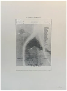 Sigmar Polke, imagen de televisión hockey sobre hielo, impresión offset, 1973, firmado a mano - Imagen 1 de 1