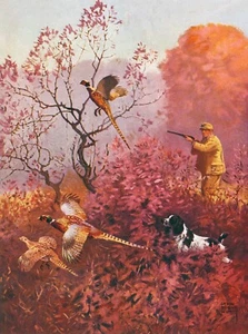 Fasanenjagd mit Hund von Lynn Bogue Hunt - Bild 1 von 1