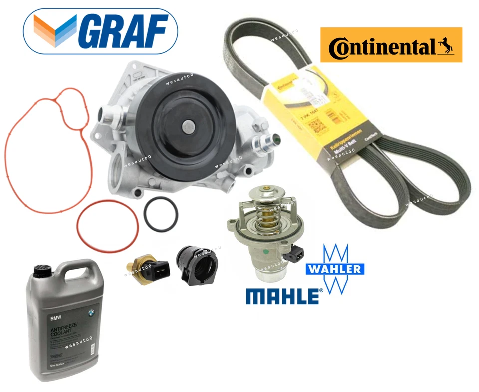 Bomba de agua termostato sensor correa enchufe refrigerante OES para BMW 550i 650i 750i xDrive Foto 1 de 1