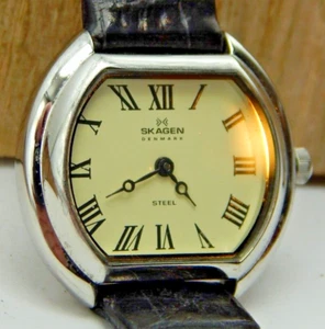 Reloj de pulsera Skagen Dinamarca cuarzo 192SSLLW acero inoxidable señora con números romanos - Imagen 1 de 6
