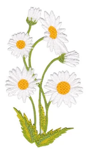 ae68★Gänseblümchen Blume Aufnäher zum aufbügeln Bügelbild Patch 5,6 x 10 cm - Bild 1 von 1
