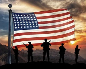 48 Star Flag ~ 36"~ Military, Quilt of Valor, USA David Textiles Fabric Panel - Picture 1 of 1