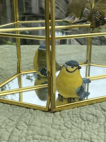 Geometric Mirrored Glass Vitrine & Brass, 2 Shelf Wall Hung Display Cabinet 10” Cover