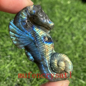 Natural Labradorite Hand Carved The sea horse Quartz Crystal Healing 1pc - Picture 1 of 12
