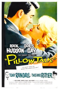 Pillow Talk 1959 Rock Hudson Doris Day póster de película estampado artístico ELIGE TALLA - Imagen 1 de 1