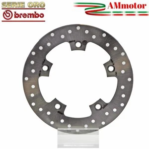 Disc Brembo Kymco XCiting 300 R 2011 Brake Gold Series Rear Motorcycle 240 mm - Picture 1 of 2