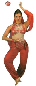 Arabesque Adult XL Belly Dance Costume Christmas Genie Jeannie Harem Jumpsuit - Picture 1 of 6