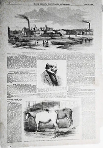 Swill Cow Stables, North Fifth Street Williamsburg - Frank Leslie's June 19,1858 - Picture 1 of 5