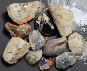 Opalized Fossil Parcel Lightning Ridge Opal Rough Lapidary Specimens 92.1 Carats - Bild 1 von 20