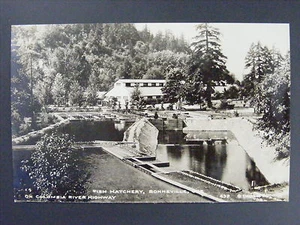 Foto postal real Bonneville Oregon O Criadero de peces Columbia RPPC c1930-50 - Imagen 1 de 2