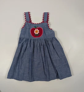 Gymboree Embroidered Apply Daisy Chambray Denim Jumper Back to School Dress 4T - Picture 1 of 5