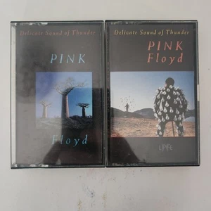 Pink Floyd Delicate Sound Of Thunder Double Live Album 2-Cassette Set! (1988) - Picture 1 of 11