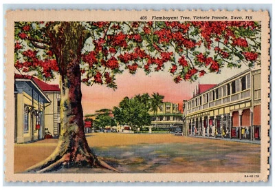 Suva Fiji Postcard Flamboyant Tree Victoria Parade c1940's Vintage Unposted - Image 1 of 2