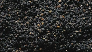Faller 170751 - Ballast gris pierre, 650 g. - Foto 1 di 1