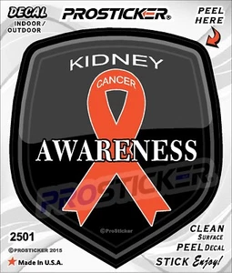 ProSticker 2501 (One) 4" Cancer Awareness Series "Kidney" Decal Sticker - Picture 1 of 2