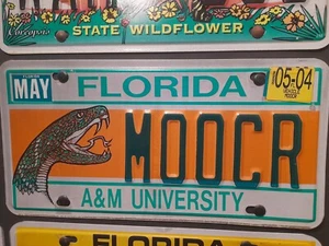 Matrícula de novedad de la Universidad Florida A&M M00CR. 05 2004. - Imagen 1 de 4