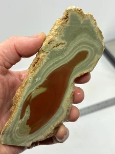 Royal Imperial Jasper Slab Cabbing Collecting Mexican Combo Ship Avail - Picture 1 of 12