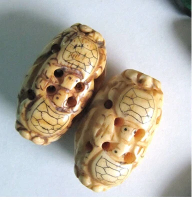 2 cuentas de tortuga Foto 1 de 3