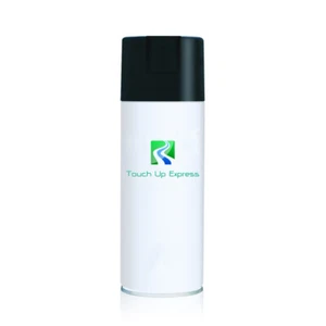 2010 Pontiac G6 636R Switchblade Silver Metallic Aerosol Touch Up Paint 12 oz - Picture 1 of 1