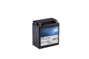 Batterie 12 Volt 14 Ah AGM f. Husqvarna CT,CTH,LT Aufsitzmäher Rasentraktor Neu - Bild 1 von 1