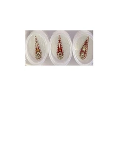 Bindi de novio Tikka largo con diseño de flor tradicional de Rajasthani - Imagen 1 de 7