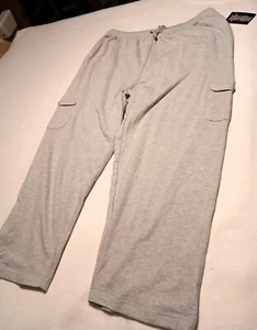 Woman Within Gray Plus Sport Jogging Sweatpants pants 2x 26/28 Pockets 2366-0 - Picture 1 of 10