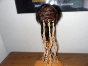 CABEZA ENCOGIDA JIVARO PELO CORTO -TSANTSA - Imagen 1 de 6