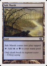 Salt Marsh 8th Edition HEAVILY PLD Land Uncommon MAGIC GATHERING CARD ABUGames