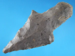 Sehr feine authentische Kentucky Adena Spitze mit SCA COA Pfeilspitzen - Bild 1 von 3