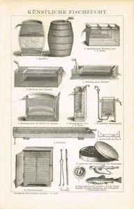 Tafel FISCHZUCHT / BRUTAPPARATE / FORELLEN / FISCHEIER 1894 Original-Holzstich - Picture 1 of 1