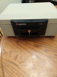 Sentry 1100 Portable Safe