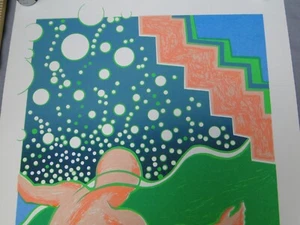 Michael Truly Kunstdruck limitiert /200 Taucher signiert Wasserschwimmer bunt - Bild 1 von 6