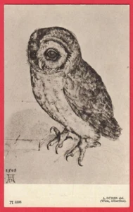 EULE VON ALBRECHT DÜRER ALTE POSTKARTE 2213 - Bild 1 von 2