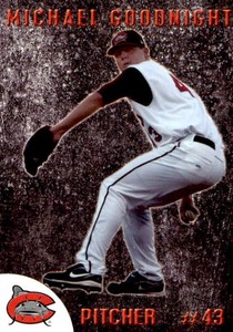 2012 Carolina Mudcats Team Issue #14 Michael Goodnight Houston Texas TX Card