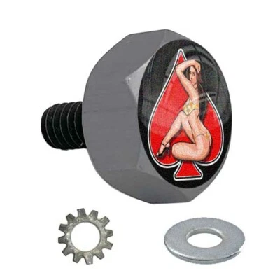 Gris Gunmetal - Perno de asiento hexagonal de aluminio Billet para Harley - Pin Up Girl rojo SWB Foto 1 de 4