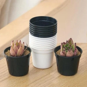 10 pcs New Mini Plastic Round Flower Pot Nursery Home Office Deco Artificial - Picture 1 of 8
