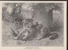 Drzeworyt Matka dzikiego kota z chłopcami Polowanie i psy Malowane przez Ludwiga Bec