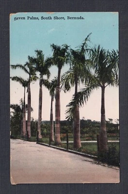 BERMUDAS 1929 'SIETE PALMAS' POSTAL HAMILTON ESLOGAN TURÍSTICO CANCELAR A NY EE. UU. Foto 1 de 2