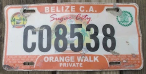 ORANGE WALK, BELIZE Expired 2010 Series Plexiglass License Plate - C08538 - Picture 1 of 2