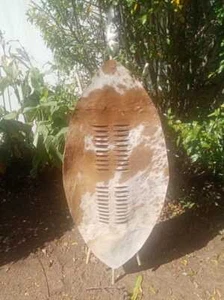 Scudo Zulu XL 145 cm pelle bovina bianca e marrone | decorazione guerriero africano Isihlangu - Foto 1 di 6