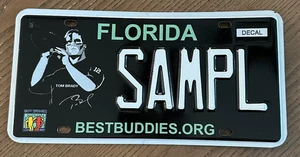 Placa de matrícula de Florida Tom Brady Best Buddies muestra placa DMV - Imagen 1 de 2
