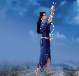 Ashton Drake Midnight Stargazer American Indian Porcelain Swarovski Crystals - Picture 1 of 7