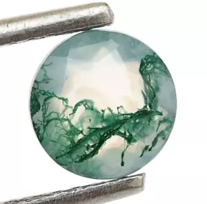 Hervorragende Qualität Moos Achat Facettiert Schliff Rund 6X6x3 mm Großhandel Edelstein 0,70 Ct. - Bild 1 von 6