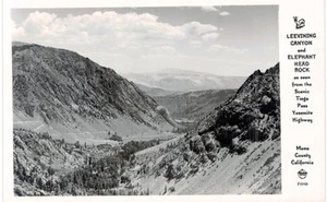 Leevining Canyon Yosemite Highway Mono County Tioga RPPC Echtfoto 1940 CA - Bild 1 von 2
