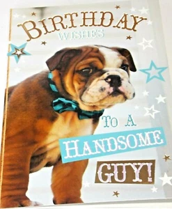 Tarjeta de cumpleaños Cheeky Creatures de Heartstrings Cards. Tema cachorros. P6.  - Imagen 1 de 4