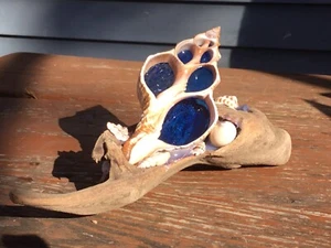 Carcasa cortada con vitral azul sobre pieza de madera a la deriva - Imagen 1 de 6