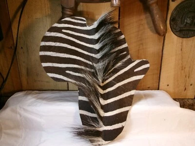 Colgante de pared melena de cebra genuina en forma de África Foto 1 de 4