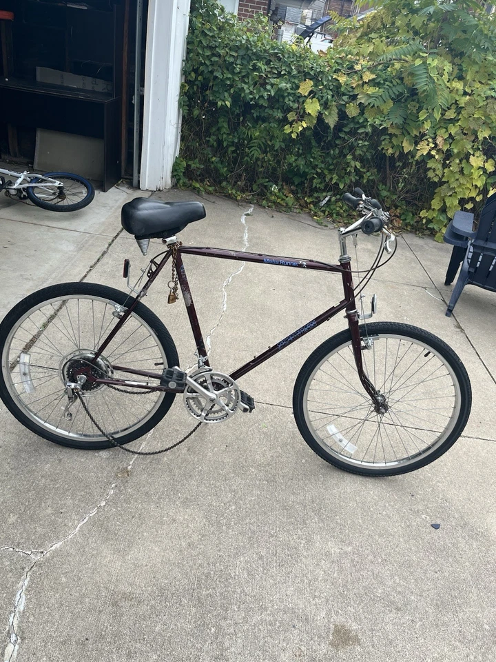 Todo funciona en esta bicicleta pero la cadena necesita ser reemplazada Foto 1 de 1